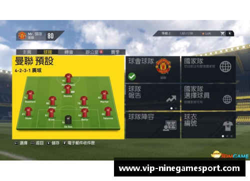 全方位解析：职业足球球员的生涯轨迹与成就探究