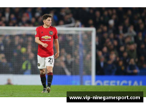 多特蒙德新秀：荷兰球员的光辉时刻